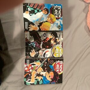 Demon Slayer Manga 1-3
